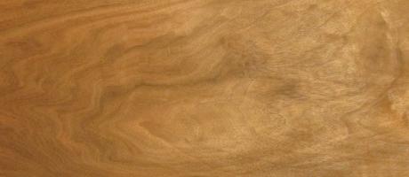 Walnut europ. veneer
