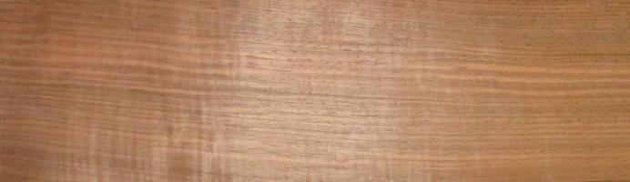 Walnut europ. veneer