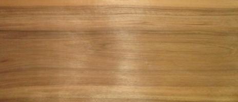 Walnut europ. veneer
