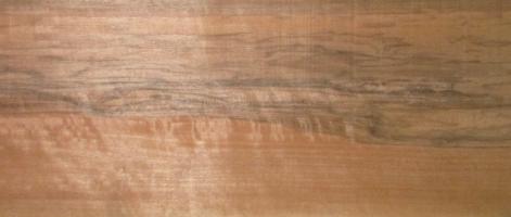 Walnut europ. veneer