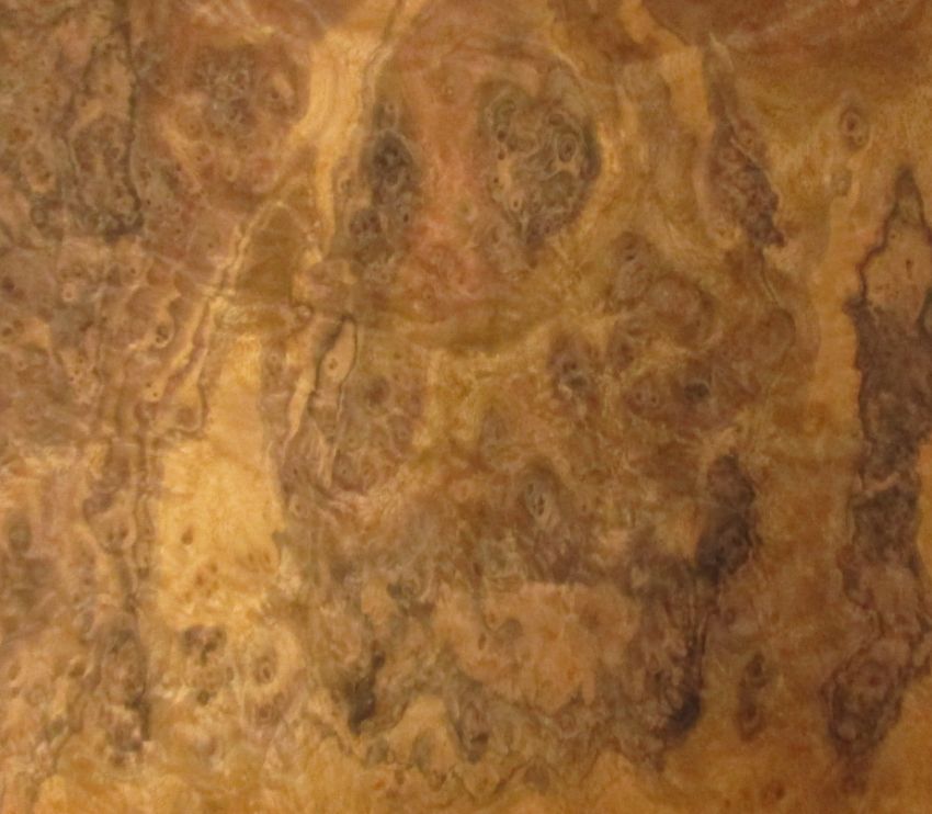 Nussbaum Maser (Wurzelholz) Furnier
