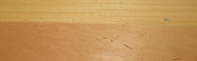 Alder (europ.) veneer