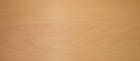 Beech veneer