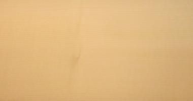 Sycomore (europ. Maple) veneer