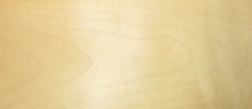 Sycomore (europ. Maple) veneer