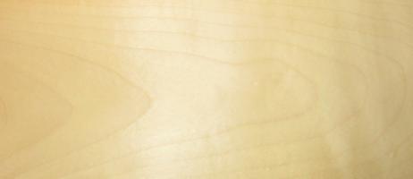 Sycomore (europ. Maple) veneer