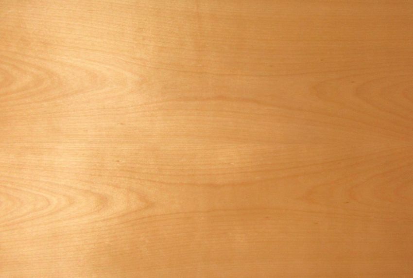 Birch veneer