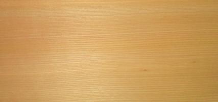 Elm veneer
