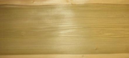 Poplar veneer