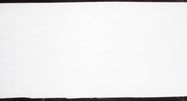 Ash Arctic - white veneer
