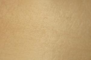 Maple (Bird´s Eye Maple) veneer