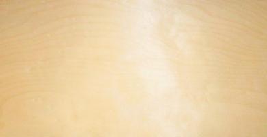 Birch rotary veneer