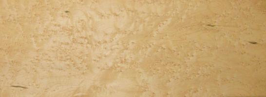 Maple (Bird´s Eye Maple) veneer