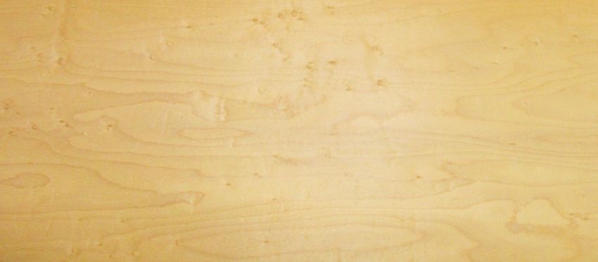 Sycomore (europ. Maple) veneer