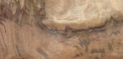 Walnut Burl veneer