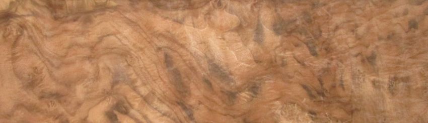 Nussbaum Maser (Wurzelholz) Furnier