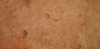 Elm Burl veneer