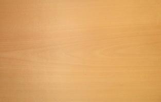 Beech veneer