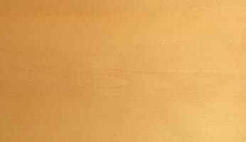 Beech veneer