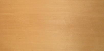 Beech veneer