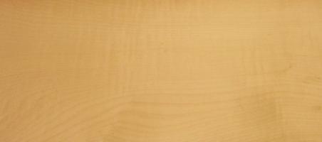 Sycomore (europ. Maple) veneer