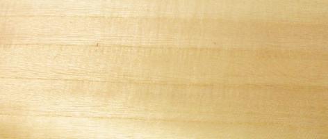 Paulownia veneer