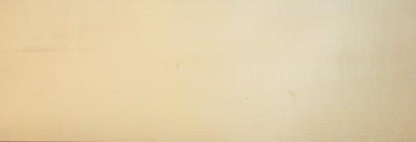 Sycomore (europ. Maple) veneer