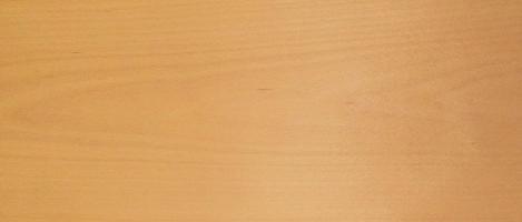 Beech veneer