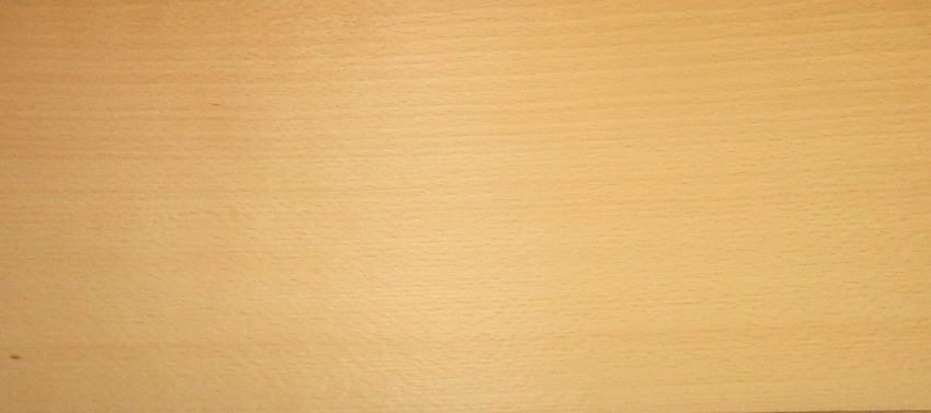 Beech veneer
