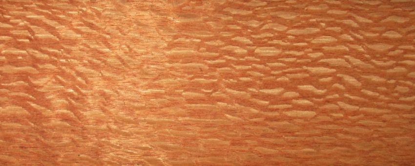 Lacewood veneer
