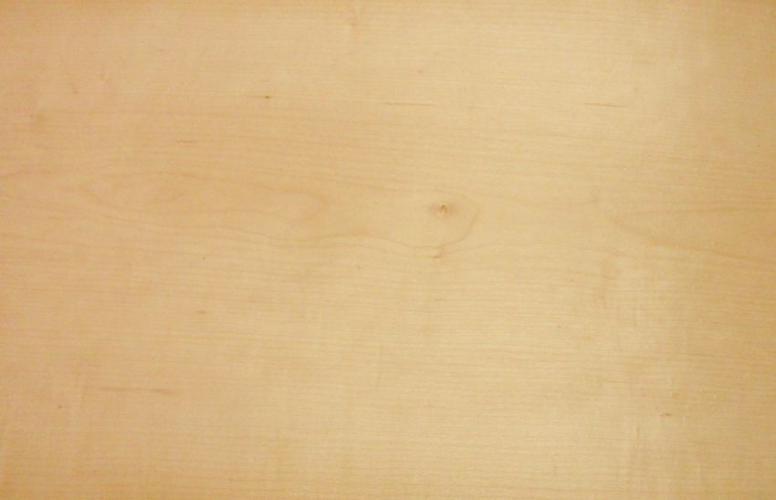 Maple (Hard Maple) veneer
