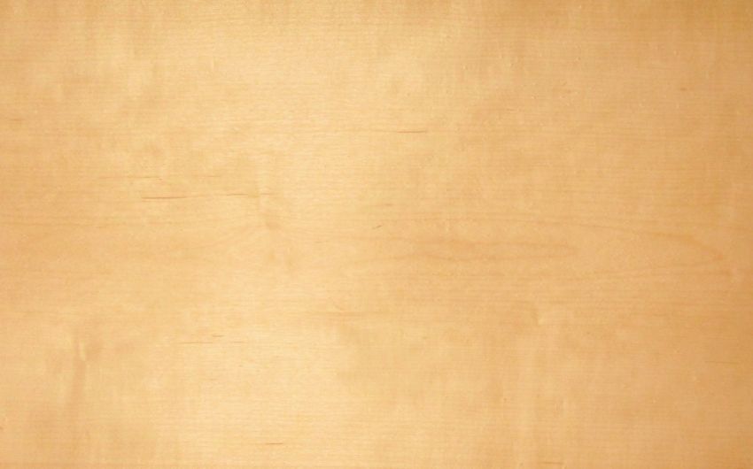 Ahorn amerik. (Hard Maple) Furnier