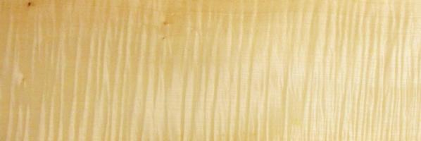Sycomore figured veneer