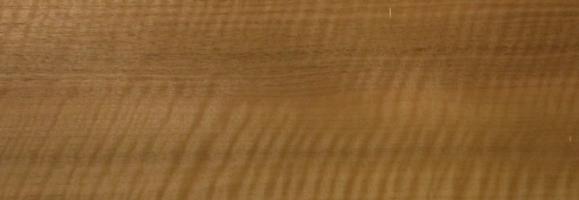 Walnut europ. veneer