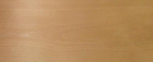 Beech veneer