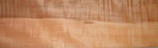 Apple veneer