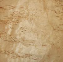 Birch Burl veneer