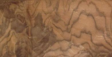 Walnut Burl veneer