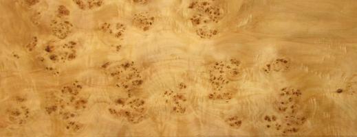 Poplar Burl veneer