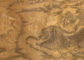 Walnut Burl veneer