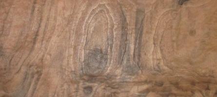 Walnut Burl veneer