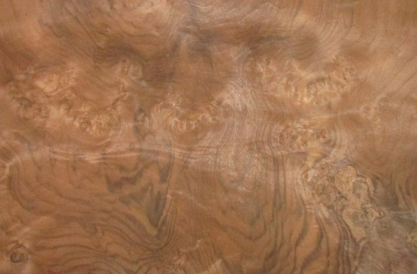 Walnut Burl veneer