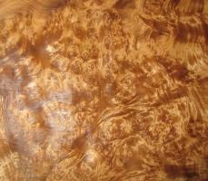Amboina Maser veneer