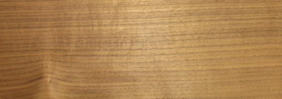 Walnut (Black Walnut) veneer
