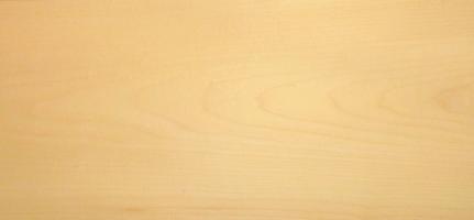 Sycomore (europ. Maple) veneer
