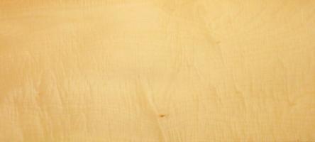 Sycomore (europ. Maple) veneer