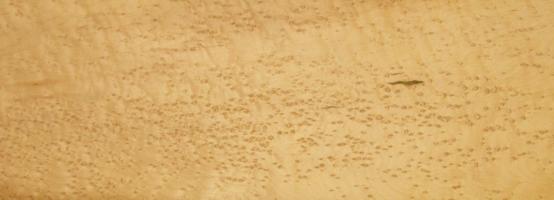 Maple (Bird´s Eye Maple) veneer