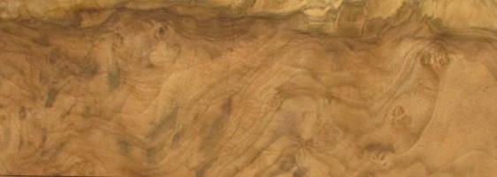 Walnut Burl veneer