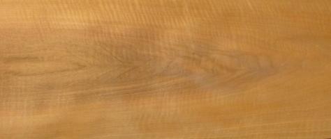 Walnut europ. veneer