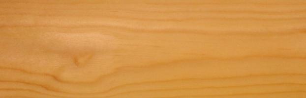 Spruce veneer